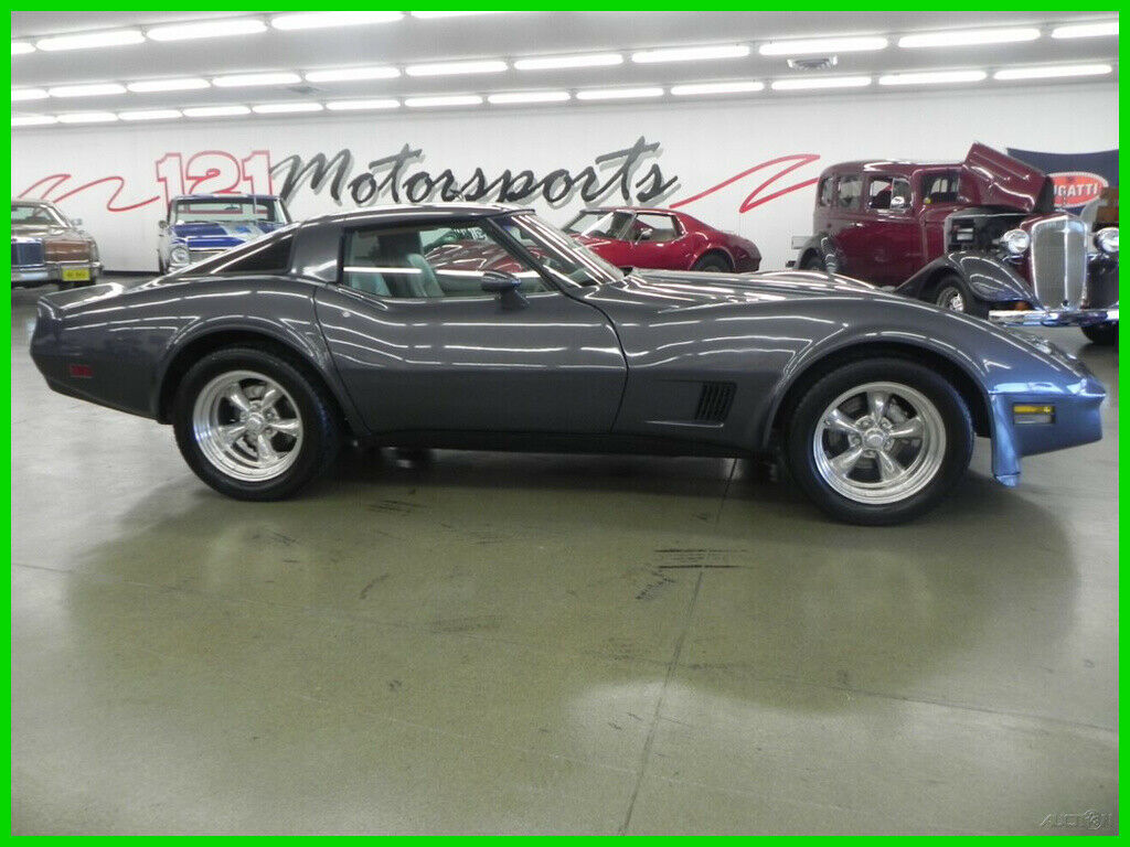 1981 Gray Chevrolet Corvette Coupe