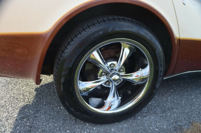 1981 Tan Chevrolet Corvette