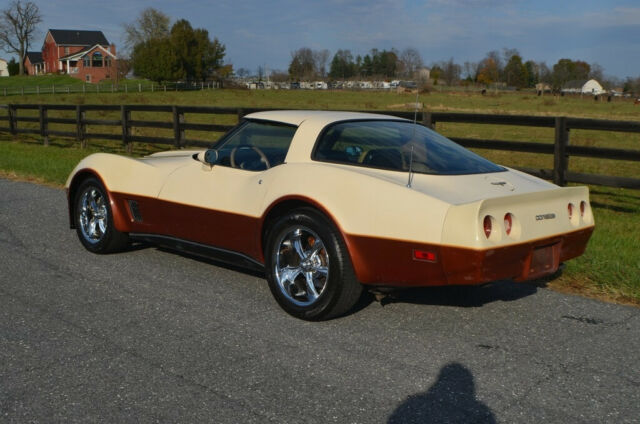 1981 Tan Chevrolet Corvette