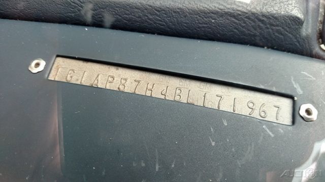 1981 White Chevrolet Camaro