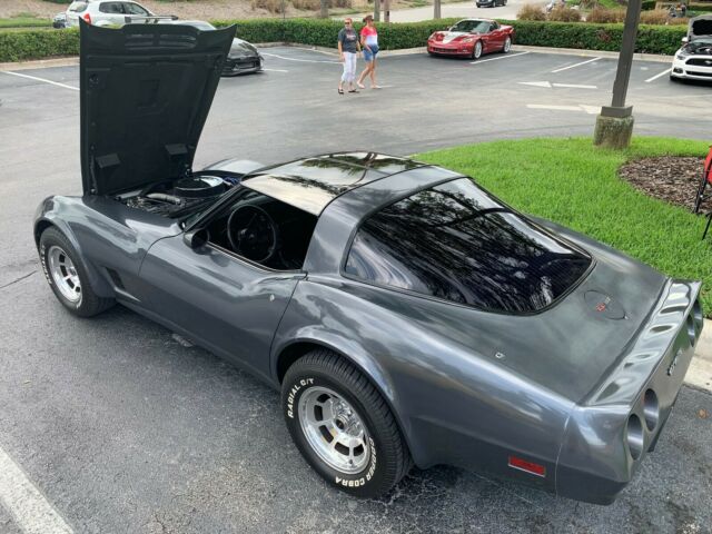 1981 Gray Chevrolet Corvette Coupe