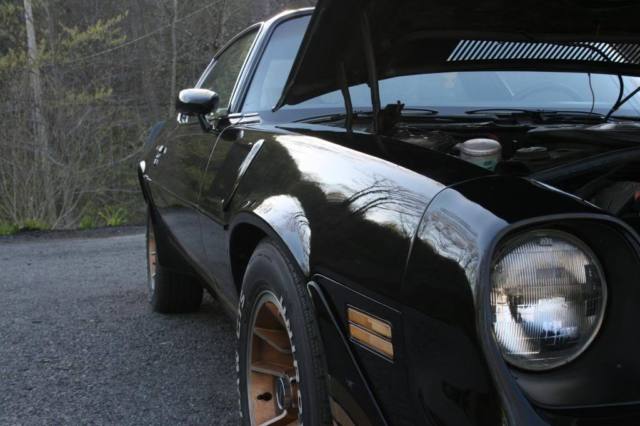 1981 Black Chevrolet Camaro Coupe