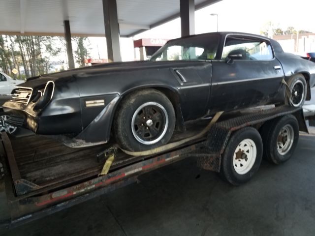 1981 Gray Chevrolet Camaro Coupe