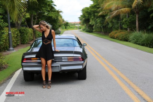 1981 Charcoal Grey Met Chevrolet Camaro Coupe