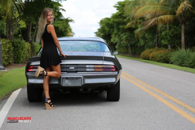 1981 Charcoal Grey Met Chevrolet Camaro Coupe
