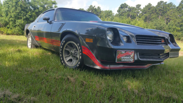 1981 Gray Chevrolet Camaro Coupe