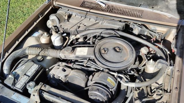 1981 Brown Chevrolet Other Hatchback