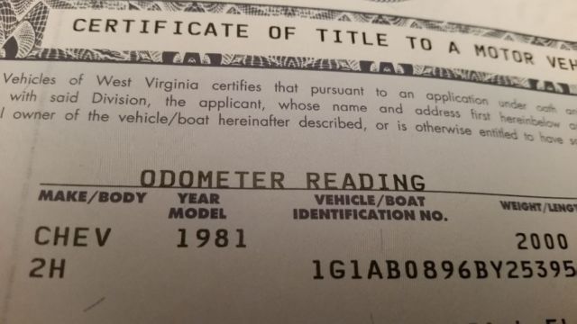 1981 Brown Chevrolet Other Hatchback