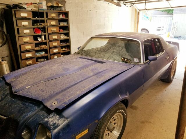 1981 Blue Chevrolet Camaro Coupe