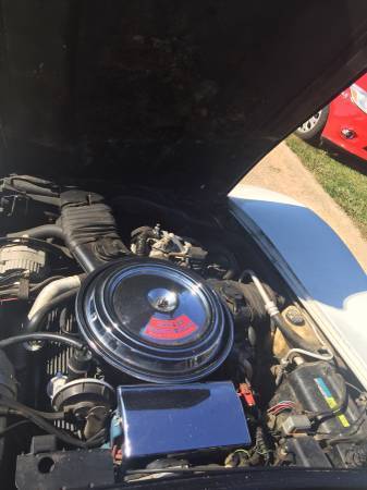 1981 White Chevrolet Corvette