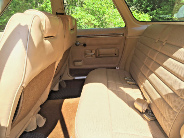 1982 Tan AMC Concord DL Station Wagon Wagon