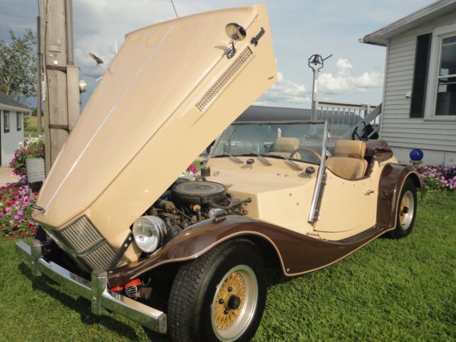1982 yellow brown Ford Bernardi Convertible