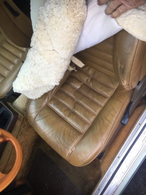 1982 Green BMW 6-Series Coupe