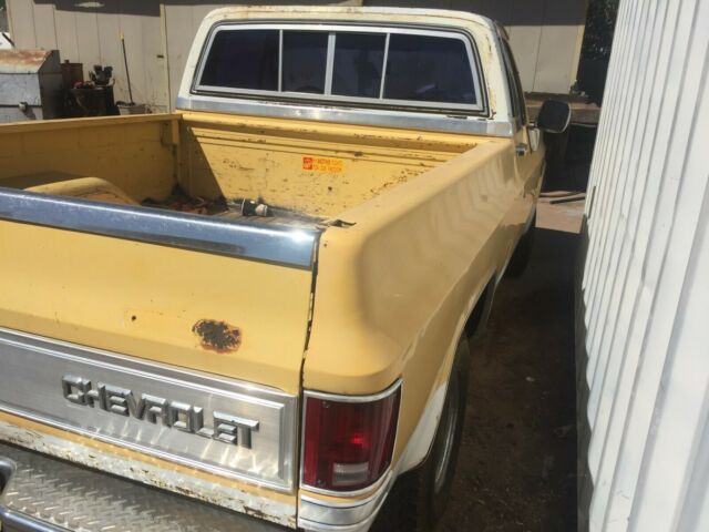 1982 Yellow Chevrolet C-10 Standard Cab Pickup