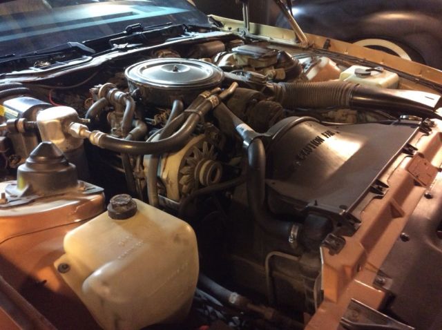 1982 Gold Chevrolet Camaro Hatchback