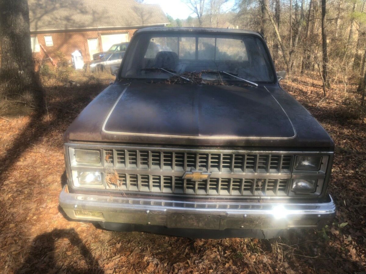 1982 Brown Chevrolet Silverado 1500 Standard Cab Pickup