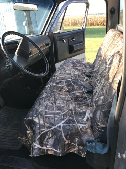 1982 Silver Chevrolet C-10 Standard Cab Pickup