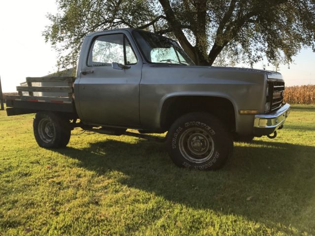 1982 Silver Chevrolet C-10 Standard Cab Pickup