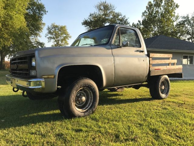1982 Silver Chevrolet C-10 Standard Cab Pickup