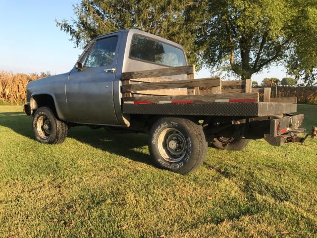 1982 Silver Chevrolet C-10 Standard Cab Pickup