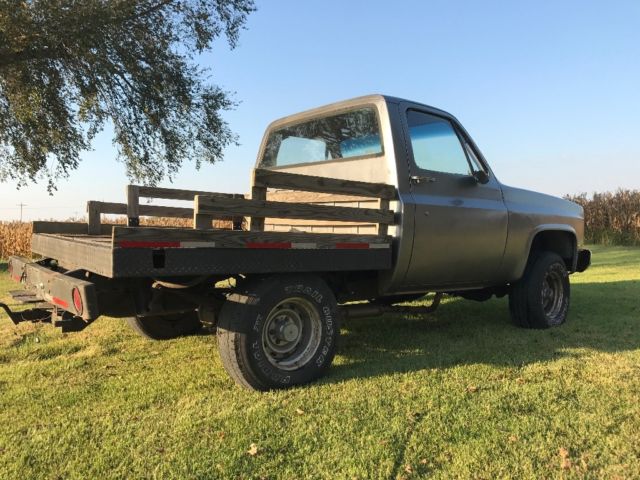 1982 Silver Chevrolet C-10 Standard Cab Pickup