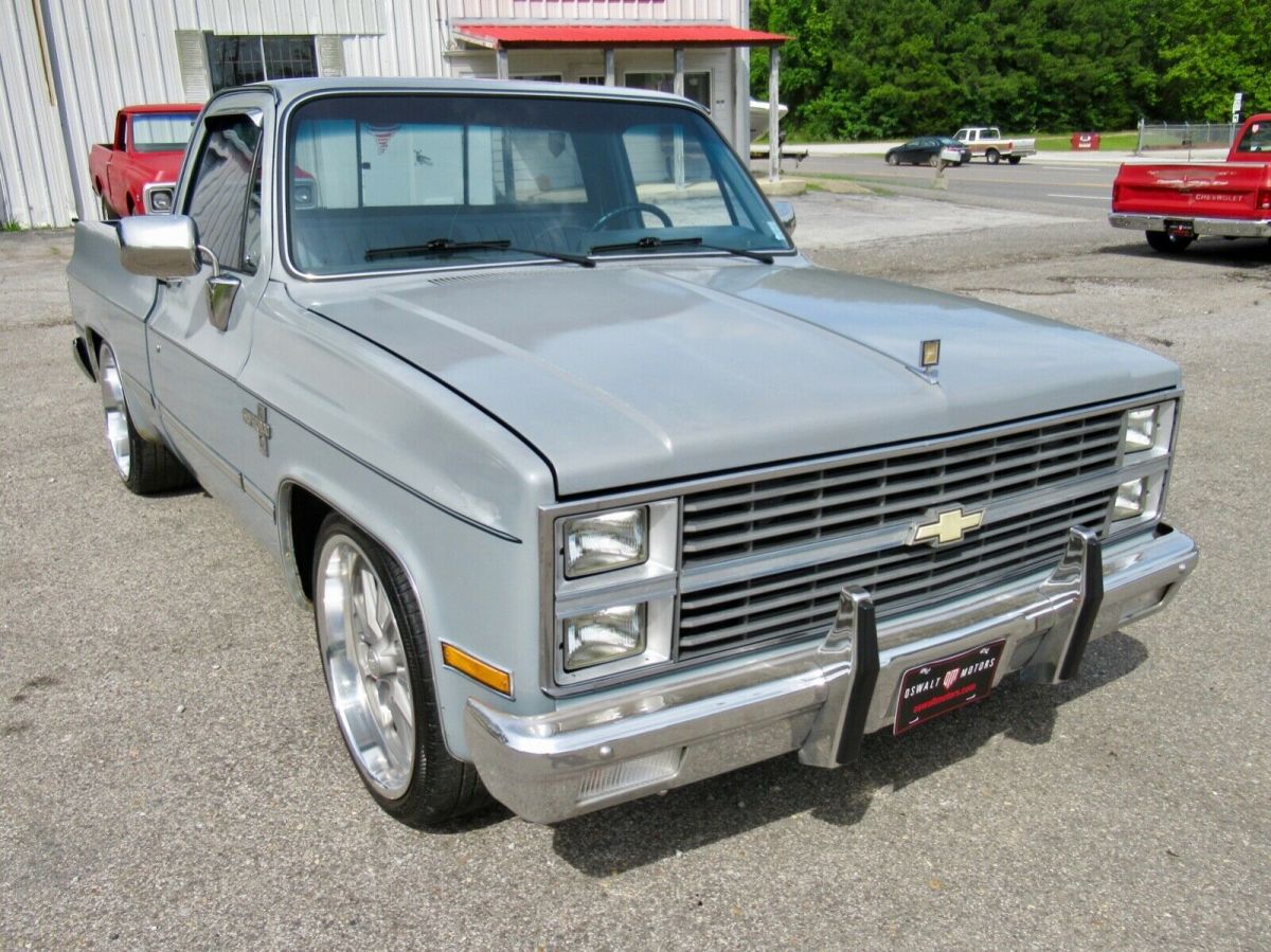 1982 Gray Chevrolet C-10