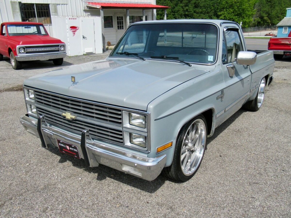 1982 Gray Chevrolet C-10