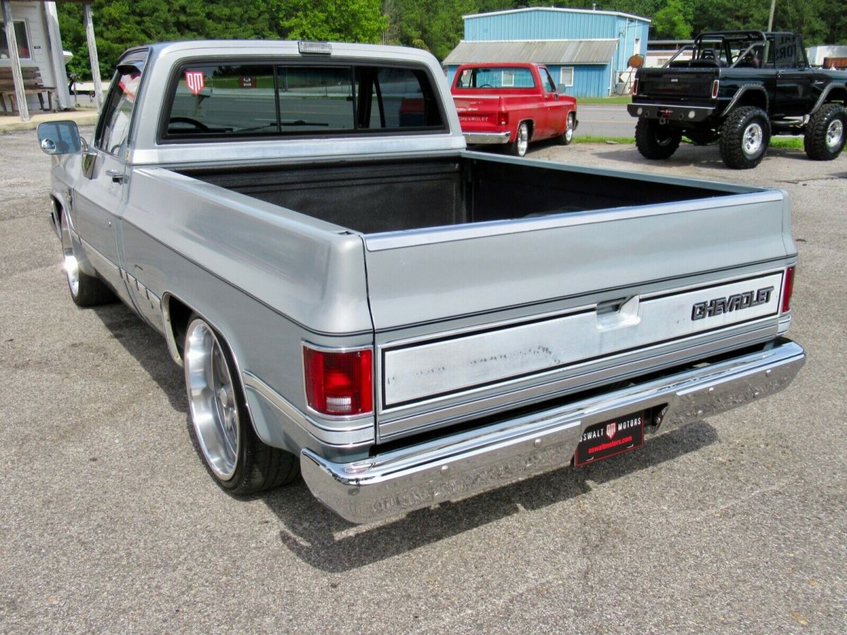 1982 Gray Chevrolet C-10