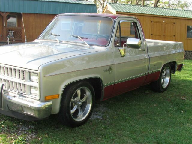 1982 Silver Chevrolet C-10 Standard Cab Pickup