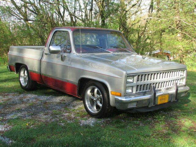 1982 Silver Chevrolet C-10 Standard Cab Pickup