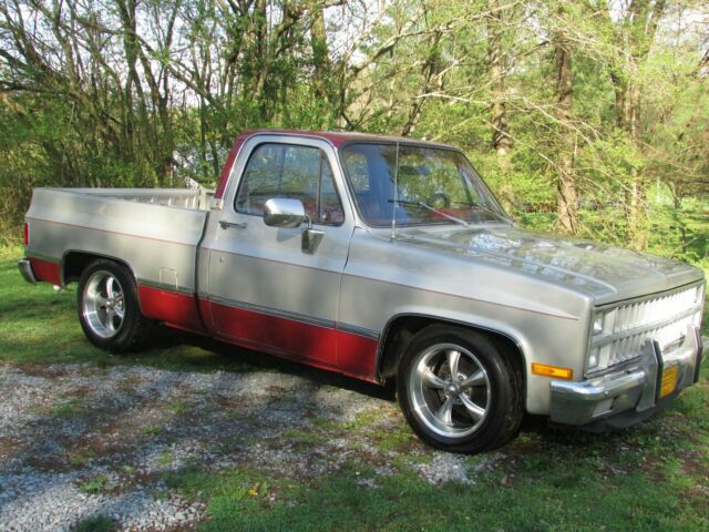 1982 Silver Chevrolet C-10 Standard Cab Pickup