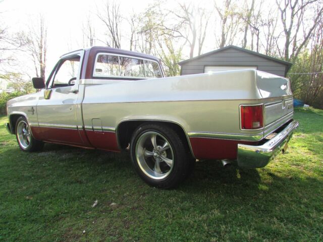 1982 Silver Chevrolet C-10 Standard Cab Pickup