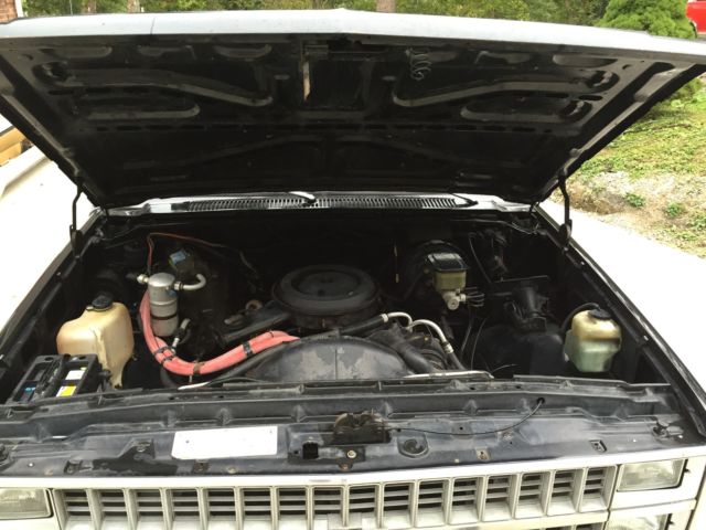 1982 Black Chevrolet C-10 Standard Cab Pickup