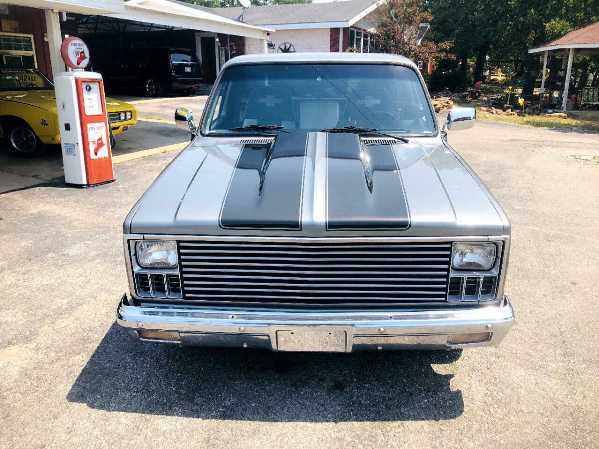 1982 Silver Chevrolet C-10 Pickup Truck