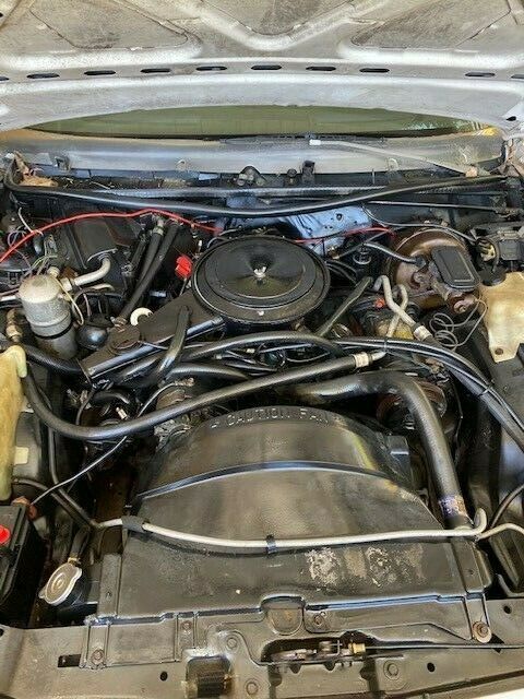 1982 White Chevrolet El Camino