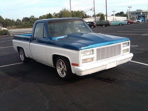 1982 Blue Chevrolet Other Pickups --