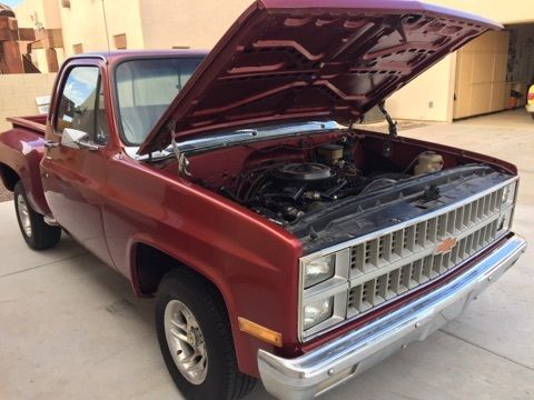 1982 BRONZE Chevrolet Silverado 1500