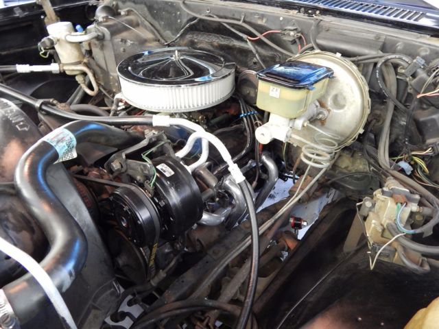 1982 Black Chevrolet Silverado 1500 Standard Cab Pickup