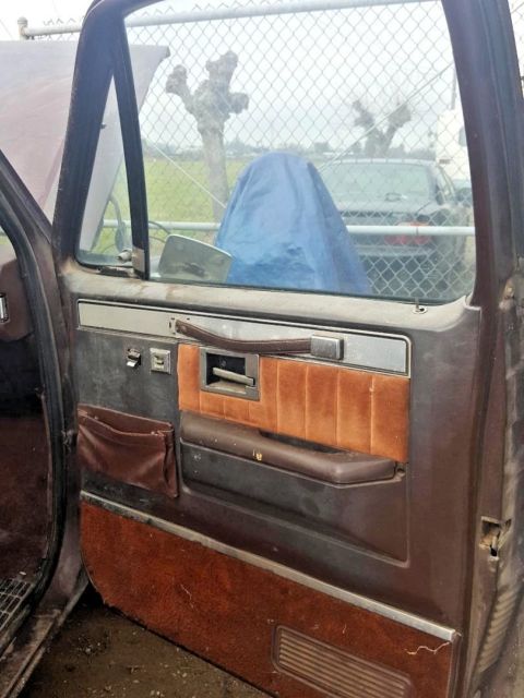1982 Brown Chevrolet C-10 Standard Cab Pickup