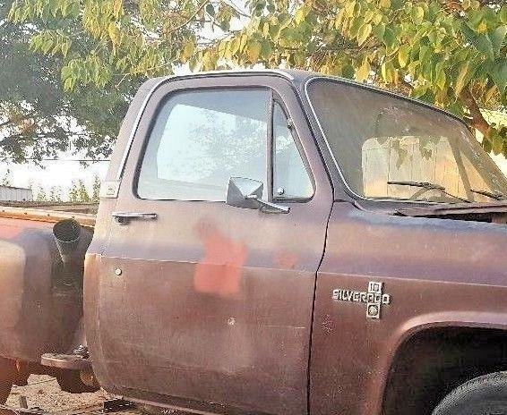 1982 Brown Chevrolet C-10 Standard Cab Pickup