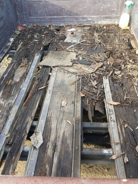 1982 Brown Chevrolet C-10 Standard Cab Pickup