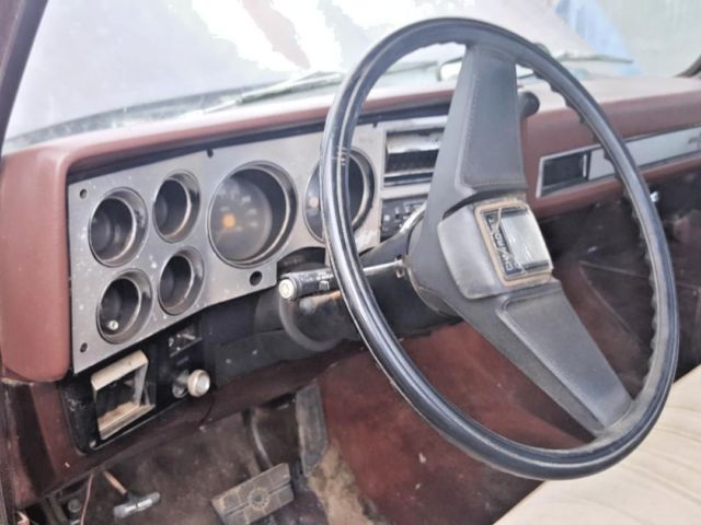 1982 Brown Chevrolet C-10 Standard Cab Pickup
