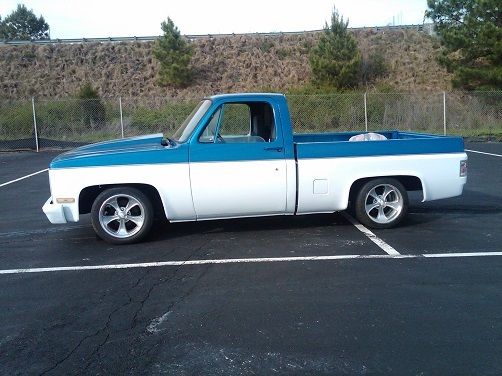 1982 Blue Chevrolet Other Pickups N/A