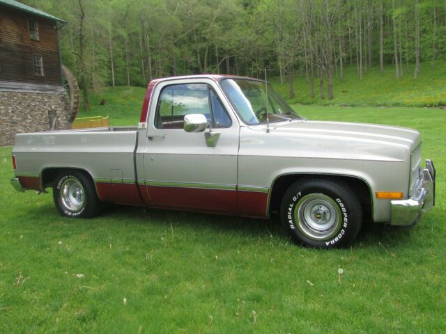 1982 Silver Chevrolet C-10