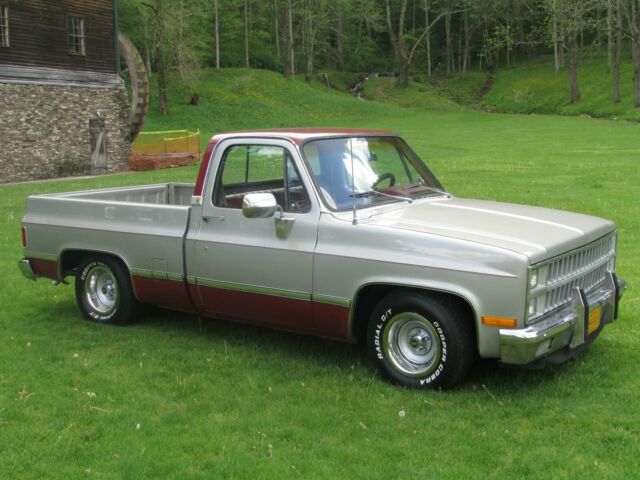 1982 Silver Chevrolet C-10