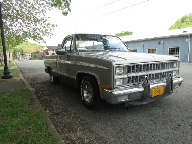 1982 Silver Chevrolet C-10