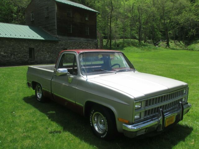 1982 Silver Chevrolet C-10