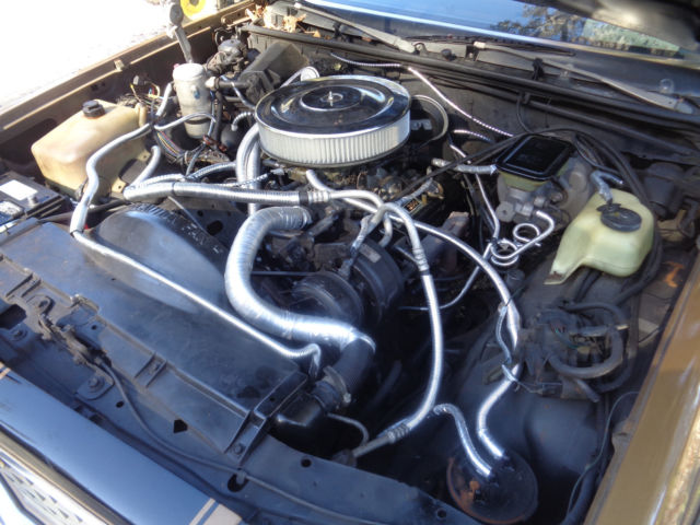 1982 Gold Chevrolet El Camino Extended Crew Cab Pickup