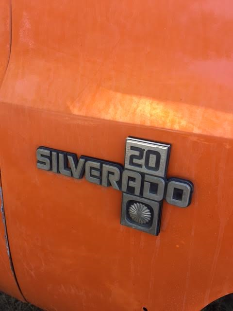 1982 Orange Chevrolet Other Pickups Regular Cab 