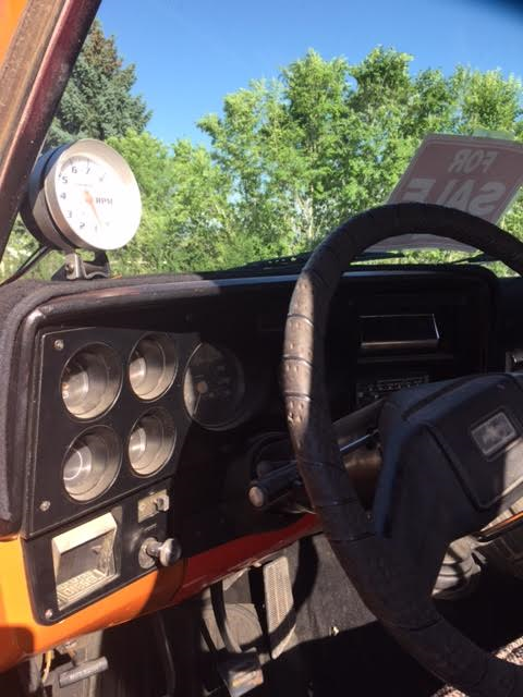 1982 Orange Chevrolet Other Pickups Regular Cab 